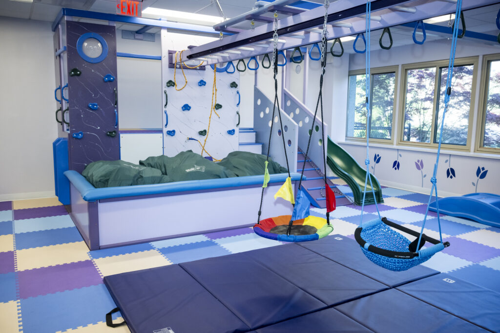 Two swings over mats, climbing and hanging implements on walls and ceiling